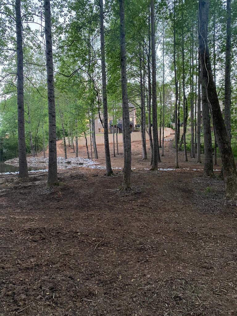 Land clearing and landscape grading